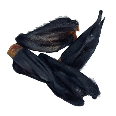 Current Product