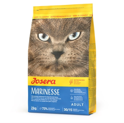 Current Product