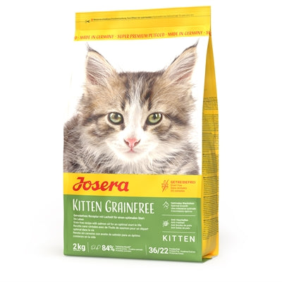 Current Product