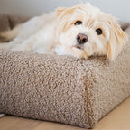 Bia Bed Premium Hoes Teddy Beige