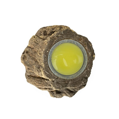 Back Zoo Nature – Accessoire pour oiseau et rongeur – Porte-cup de fruit aspect écorce – 5 x 3 cm - Coloris aléatoire - Caractéristiques