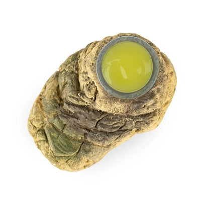 Back Zoo Nature – Accessoire pour rongeur et oiseau – Support de coupelle de fruits aspect pierre – 10x6x3,5 cm - Coloris aléatoire - Caractéristiques