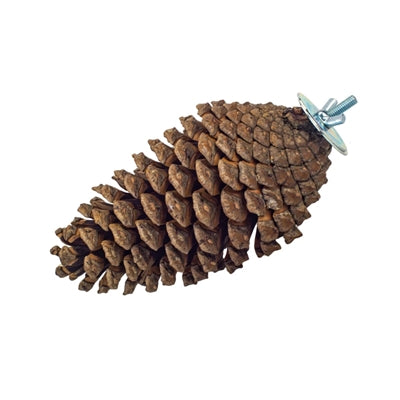 Back Zoo Nature – Jouet pour oiseau – Pomme de pin de recherche de nourriture – 15-20 cm - Caractéristiques