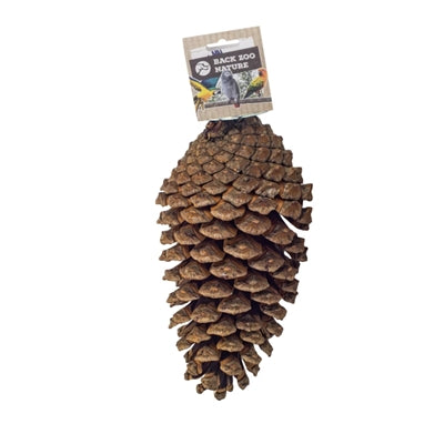 Back Zoo Nature Foraging Pine Cone 15-20 Cm