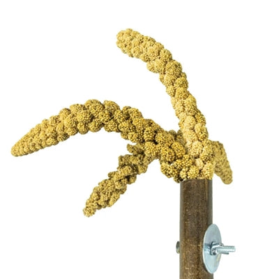 Back Zoo Nature – Accessoire pour oiseau – Support en bambou pour millet – 20 x 3 cm - Caractéristiques