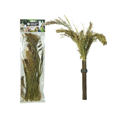 Back Zoo Nature – Graines pour oiseau et rongeur – Millet Panicum en grappes – 40 g - Caractéristiques