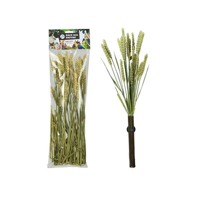 Back Zoo Nature – Graines pour oiseau et rongeur – Épis de blé millet – 50 g - Caractéristiques