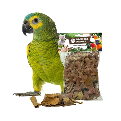 Back Zoo Nature – Complément d'habitat pour rongeur et oiseau – Feuilles d'écorce et de chêne – Environ 50 g - Caractéristiques