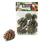 Back Zoo Nature – Jouet pour rongeur et oiseau – Pommes de pin – 6 pièces