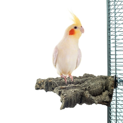 Back Zoo Nature – Accessoire pour oiseau – Plateau à ronger en liège – 16x10x5 cm - Caractéristiques