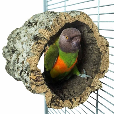 Back Zoo Nature – Accessoire pour oiseau – Abri tunnel en liège naturel – 20 x 15-20 cm - Caractéristiques