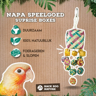 Back Zoo Nature Surprise Boxes Ca. 30X8X8 Cm