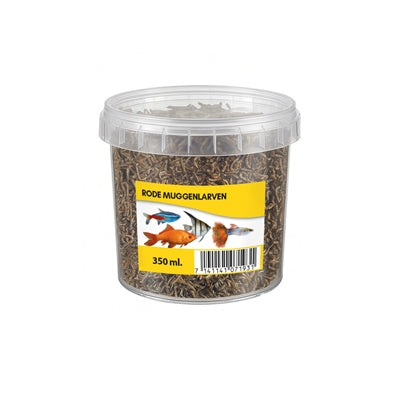 Current Product