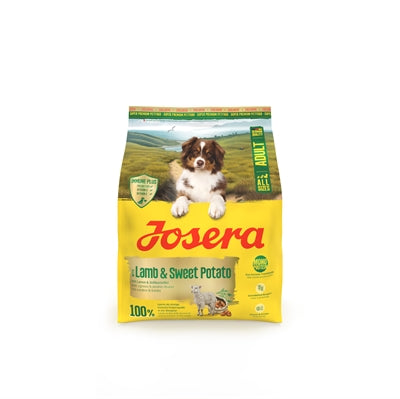 Current Product