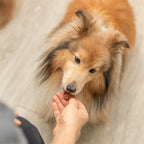 Trixie Bakmat Voor Dierensnacks Botvorm Bpa Vrij Grijs