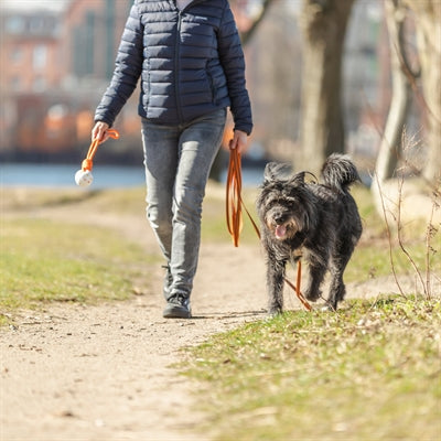 Trixie – Longe de Suivi pour Chien – Longe Caoutchoutée Sans Poignée Orange - Analyse détaillée
