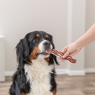 Trixie Premio Bacon Strips Met Eendenborst En Rundvlees 80 Gr