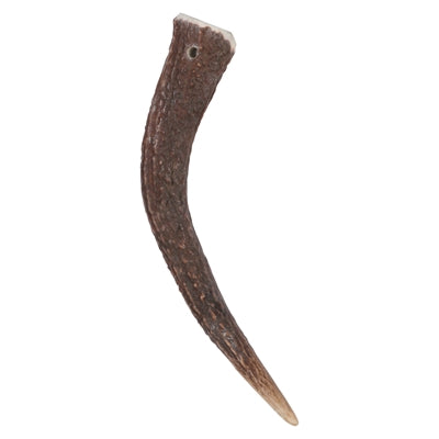 Zolux – Friandise pour chien – Bois de cerf entier - Caractéristiques