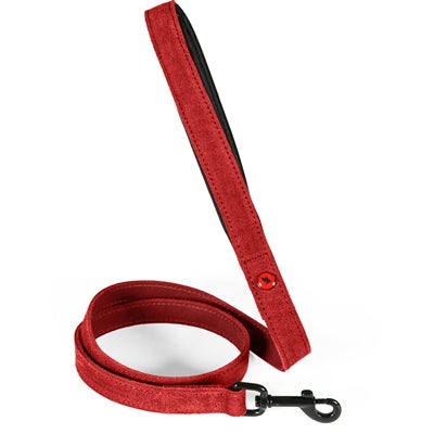 Zolux – Laisse pour chien – Laisse Expert en cuir et néoprène - Caractéristiques