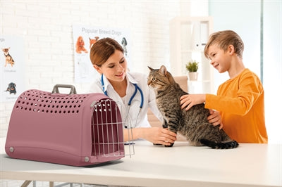 Imac – Panier de transport pour chien, chat et rongeur – Linus Rose – 50x32x34,5 cm - Caractéristiques