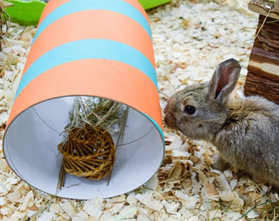 Happy Pet – Jouet pour rongeur – Pack éco saule 2 bâtonnets et 2 balles – Taille unique - Vue 3