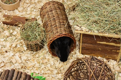 Nature First Happy Pet Wilgen Hooirek 14X12X9 Cm