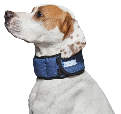 Aqua CoolKeeper – Collier pour Chien Rafraichissant - Caractéristiques