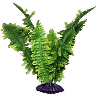 Komodo – Décoration pour reptile – Fougère de Boston – 25 cm - Caractéristiques