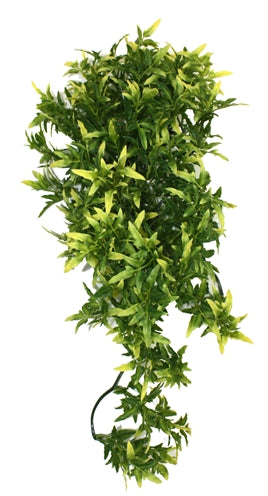 Komodo – Décoration pour reptile – Plante Croton – 40 cm - Caractéristiques
