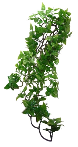 Komodo – Décoration pour reptile – Plante Philodendron - Vue 2