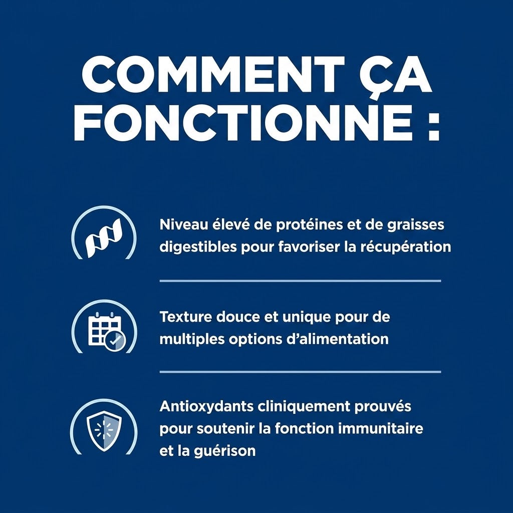 Hill's Prescription Diet – Aliment humide pour chien et chat – Pâtée de soutien nutritionnel – 2,4 kg