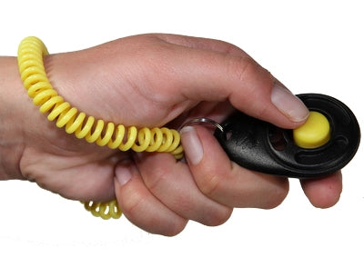 Starmark – Accessoire pour chien – Clicker d'entraînement de luxe – 6x4 cm - Caractéristiques