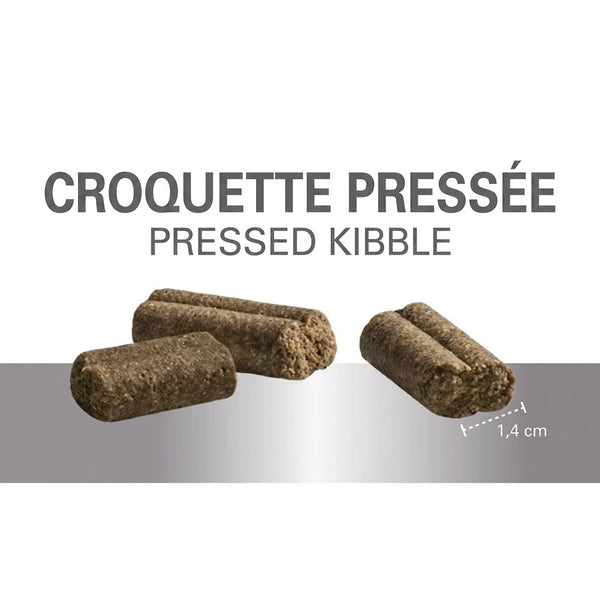 Prins – Croquettes pressées pour chien – ProCare Senior – 12 kg - Caractéristiques
