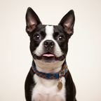Yourdog – Croquettes pour chien – Boston Terrier - Adulte – 12 kg