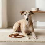 Yourdog – Croquette pour chien – Whippet - Senior – 12 kg