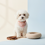Yourdog – Croquettes pour chien – Bichon à poil frisé - Senior – 12 kg