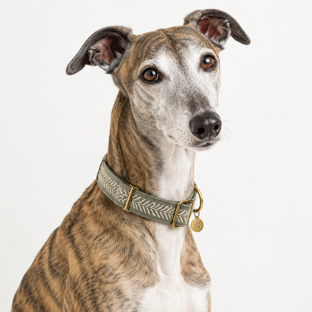 Yourdog – Croquette pour chien – Whippet - Senior – 12 kg